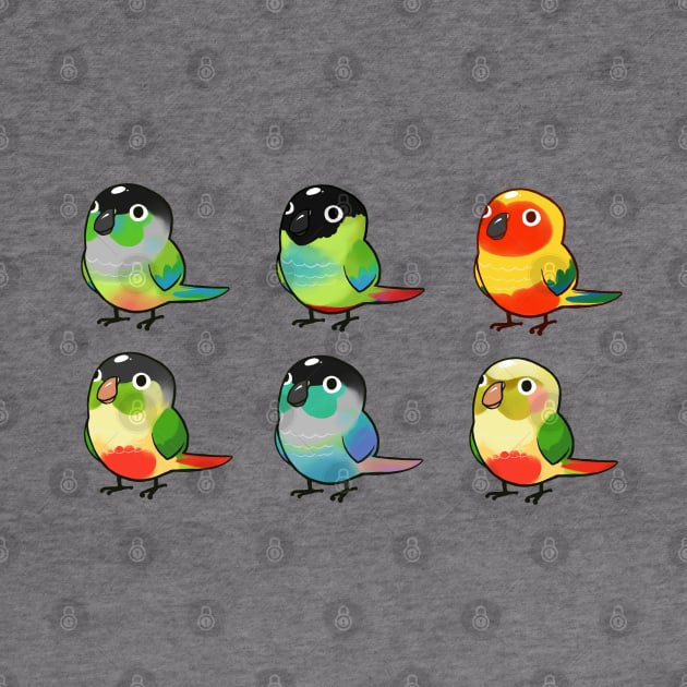 Conure Bunch by Shemii